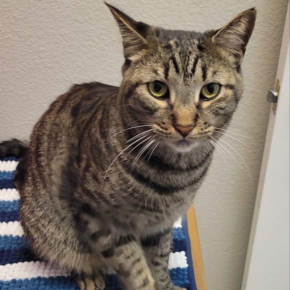 Meet your Posher, Danielle - Picture 2 of 2